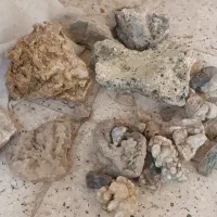 سنگ آکواریوم یک کیسه|ماهی|تربت‌حیدریه, بهزیستی|دیوار