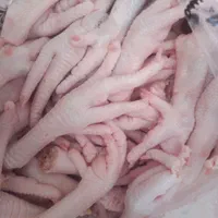 پای مرغ تازه بهداشتی بسته۲.۵کیلویی.وگردن مرغ درشت|خوردنی و آشامیدنی|قم, شهرک فاطمیه|دیوار