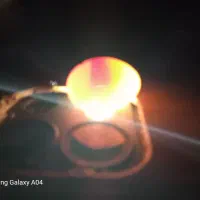 تخم رگ زده راهب زرد