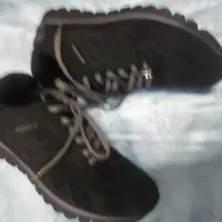 کفش اسپورت