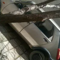 پی کی مدل 1384|خودرو سواری و وانت|تربت‌حیدریه, طالقانی|دیوار