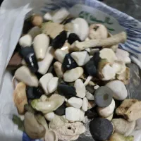 سنگ آکواریوم