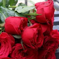 دسته گل عروس