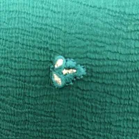 شال هندی کریشه گلدوزی کار دست قواره دار|لباس|کردکوی, |دیوار