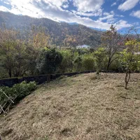 زمین-با-پروانه-ساخت-بهترین-لوکیشن