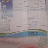 رانا ۹۱|خودرو سواری و وانت|اصفهان, گلزار|دیوار