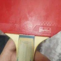 دسته پینگ پونگ فرزند شیپ ۱۲ستاره|ورزشهای توپی|میبد, |دیوار