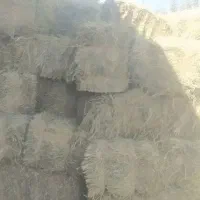 یونجه|لوازم جانبی حیوانات|زاغه, |دیوار