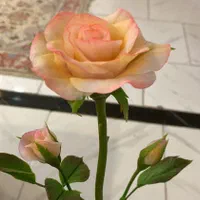 گل رز های قالبی (انعطافی )|گل مصنوعی|تهران, قنات‌کوثر|دیوار