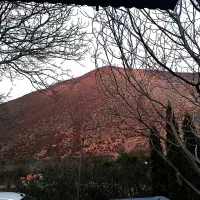 ویلا جنگلی کوهستانی|فروش خانه و ویلا|کجور, |دیوار