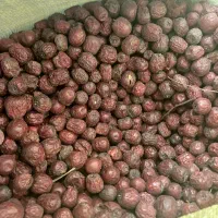 مرکز خرید وفروش عناب محصولات کشاورزی|خدمات باغبانی و درختکاری|بیرجند, |دیوار