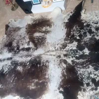 فرش تزیینی پوست گاو هلندی طبیعی|فرش|کتالم و سادات شهر, |دیوار