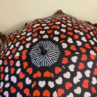چتر