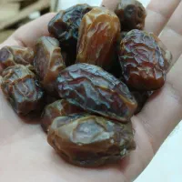 خرما آدامسی بریم درجه یک خشک