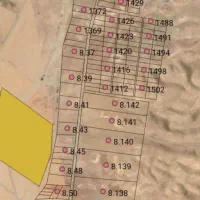 زمین فاز ۳ صدرا..پشت‌گویم