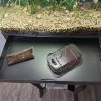 اکواریوم شیشه خم