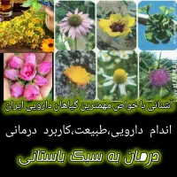 آشنایی با گیاهان دارویی،خواص و روش استفاده آنها