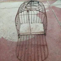 قفس