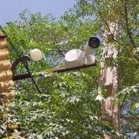 فروش ونصب سیستمهای امنیتی دوربین،دزدگیر،اعلام حریق|خدمات پیشه و مهارت|کرمان, |دیوار