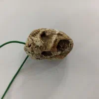 فسیل قدیمی|کلکسیون اشیاء عتیقه|سراب, |دیوار