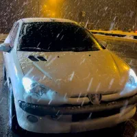 206 تیوفایو سیمی