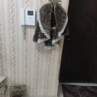 حراج|حراج|تهران, علی‌آباد|دیوار