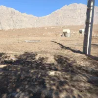 زمین بر جاده هرسین