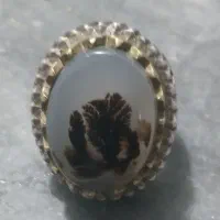 شجروعقیق‌سرخ‌ویاقوت‌زرد