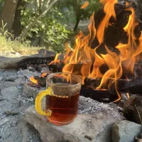 هم آشپزی گروهی هم جایزه