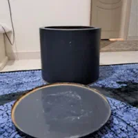 گلدان بزرگ|گل و گیاه طبیعی|کرج, عظیمیه|دیوار