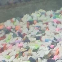 اکواریوم تعویض با دوتا گوپی، فایتر ، سنگ اکواریوم|ماهی|یزد, |دیوار