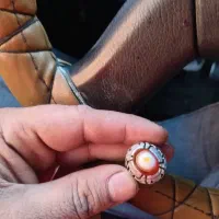 سه پوست|جواهرات|قم, کلهری|دیوار