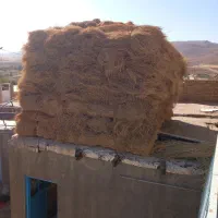 یونجه جو علف