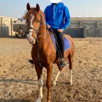 نریان کرد ۳ساله