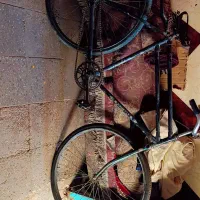 دو چرخه فنیکس|دوچرخه، اسکیت، اسکوتر|اهواز, کوی علوی|دیوار
