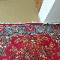یک جفت فرش ۱۲ متری|فرش|بومهن, |دیوار