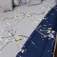 رو تختی همراه پرده