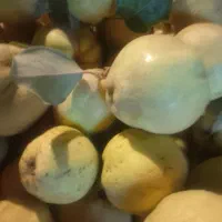 میوه به محلی روستای پامزار