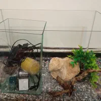 آکواریوم با تجهیزات