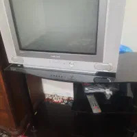 تلویزیون