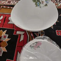 دو سرویس آکبند آرکوپال|ظروف سرو و پذیرایی|قم, انسجام|دیوار