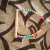 تاب پرندگان