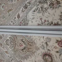 مهتابی موگن