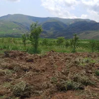 اجاره زمین زراعی