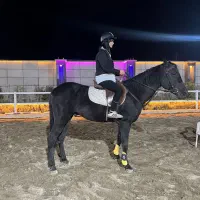 آموزش سوارکاری با اسب