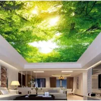 سقف کشسان / کناف/اسمان مجازی /باریسوال/لاین نوری