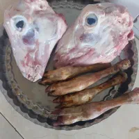 کله و پاچه پاک شده بره|خوردنی و آشامیدنی|گرمی, |دیوار