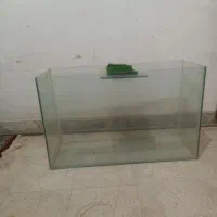 اوکاریوم شیشه ای