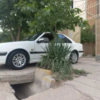 رینگ سلیبی معاوضه با خرچنگی