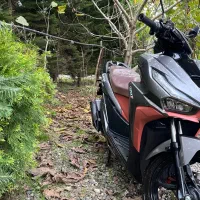 کلیک کویر ۱۵۰|موتورسیکلت|لیسار, |دیوار